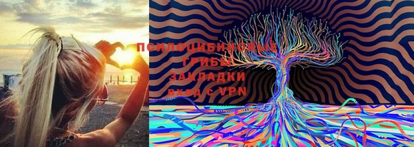 кокс Алексеевка