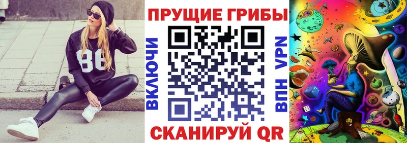купить   Кохма  Галлюциногенные грибы Cubensis 